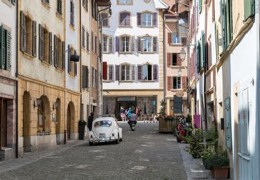 Randonnée A pied La Neuveville - La Neuveville - Lignières - Photo