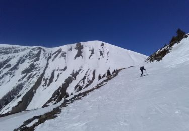 Randonnée Ski de randonnée Saint-Honoré - Le perollier, le Grand Serre - Photo