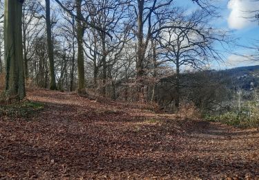 Trail Walking Esneux - tilff . brialmont . hayen . dur les hus . chapelle des chaweresses. tilff   - Photo