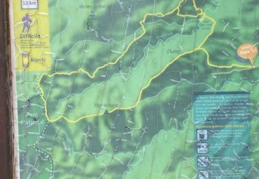 Tocht Trail Sainte-Rose - La muraille  - Photo