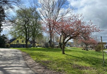 Tour Wandern Monschau - Höfen variante narcisses 15,3 km - Photo