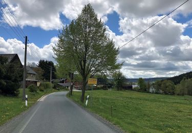 Tocht Te voet Markneukirchen - Erlbacher Rundweg - Photo