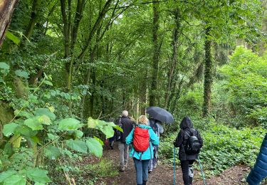 Tocht Stappen Jalhay - Tiege - Photo