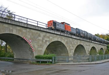 Trail On foot  - W 24 Regensburg - Eichhofen (Rotes Dreieck) - Photo