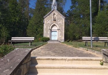 Tocht Stappen Vaire - vaire le petit - Photo