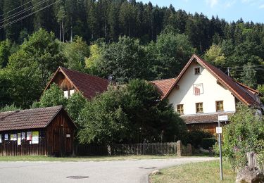 Tocht Te voet Neubulach - Gutleutbrücke - Seitzental - Photo