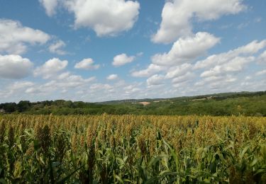 Tour Wandern Paunat - Trėmolat 10,1km - Photo