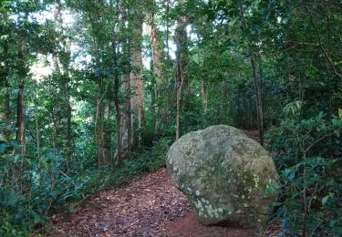 Trail Walking Bouillante - Crête des Bois - Photo