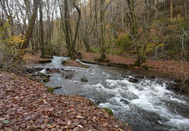 Tour Zu Fuß  - Gelpetal Rundweg A2 - Photo