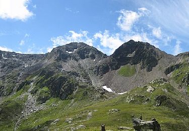 Tour Zu Fuß Tujetsch - Oberalppass - Lai da Tuma - Photo