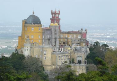 Randonnée A pied Sintra - Seteais - Photo