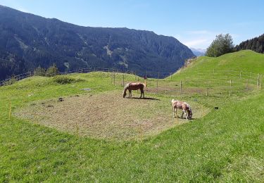 Tour Zu Fuß Moyen - IT-E625 - Photo