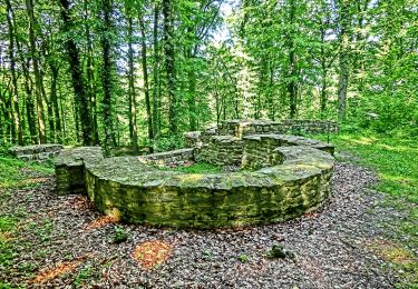 Tocht Te voet Bissendorf - Rund um die Holter Burg - Photo