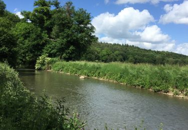 Randonnée Marche La Ferrière-sur-Risle - Ajou - Photo