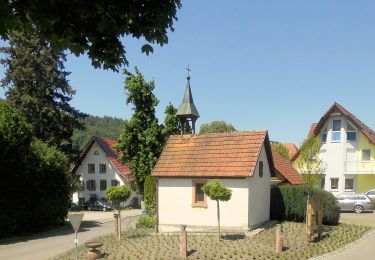 Tocht Te voet Seelbach - Seelbach Panoramawanderung - Photo