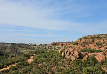 Trail Walking Vitrolles - l'infernet - Photo