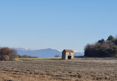 Percorso Marcia Chantemerle-lès-Grignan - Les Crevasses de Chantemerle - Photo