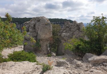 Excursión Senderismo Corconne - Corconne Claret - Photo