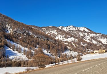 Tocht Sneeuwschoenen Molines-en-Queyras - EMBRUN JOUR 3 : Molines-en-Queyras - Sommet Bucher (QUEYRAS) - Photo