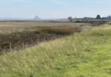 Randonnée Marche Le Vivier-sur-Mer - Circuit des grèves et marais - Photo