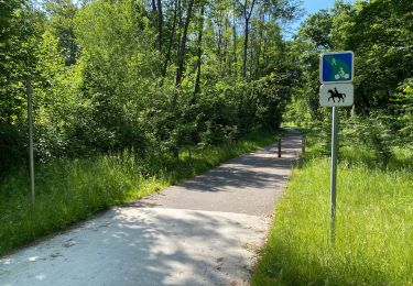 Trail Mountain bike Ormoy-le-Davien - Ormoy le Davien - Rouville en VTT - Photo