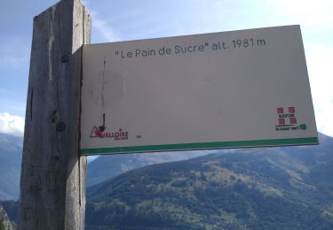 Tour Wandern Valloire - pain de sucre - Photo