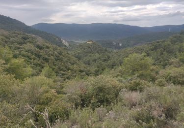 Tocht Stappen Signes - Vallon du Raby  - Photo