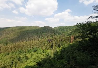 Randonnée Marche Aywaille - Le Ninglinspo   - Photo