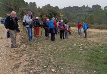 Randonnée Marche Saint-Étienne-du-Grès - st Etienne du gres - Photo