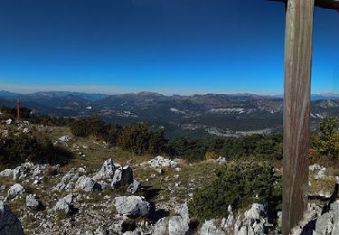 Randonnée Marche Valderoure - Sommet du Beauroux : panoramique et champignons - Photo