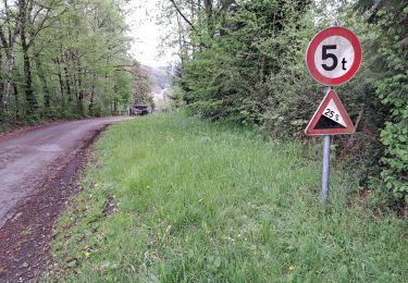 Tour Rennrad Stablo - Stavelot 2 - Photo