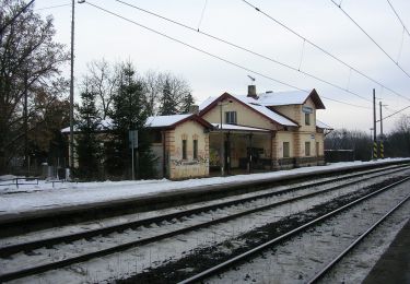 Randonnée A pied Velké Popovice - [Z] Mnichovice - Velké Popovice - Photo