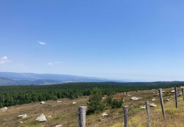 Randonnée Vélo électrique Vialas - TOUR DU MONT LOZERE - Photo