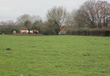 Tour Wandern Roncherolles-sur-le-Vivier - 20191207-Roncherolles sur le Vivier  - Photo
