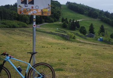 Percorso Mountainbike Plancher-les-Mines - plancher les mines, ballon de servance par GR59, col du salon, planche des belles filles.  - Photo