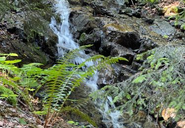 Trail Walking Lavaldens - Cabane de COMBOURSIERE - Photo