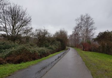 Tocht Stappen Fléron - Fléron  - Photo