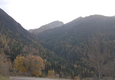 Tocht Stappen Méolans-Revel - Les Eaux Tortes - Col de Vautreuil - Photo