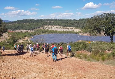 Tour Wandern Le Thoronet - Abbayie de Torronet - Photo