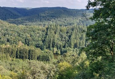 Trail Walking Bouillon - Rochehaut 310821 - Photo