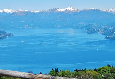 Tocht Te voet Stresa - IT-VL5 - Photo
