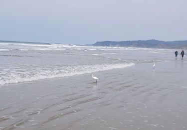 Trail Walking Parroquia Manglaralto - San José - Olón por la playa - Photo