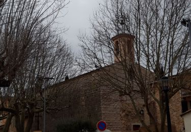 Trail Walking La Celle - La Celle-19-02-21 - Photo