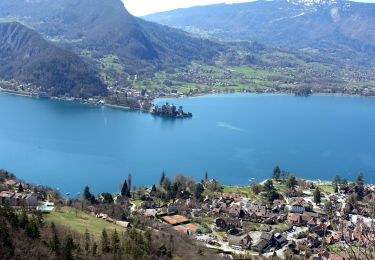 Tour Wandern Talloires-Montmin - Angon-2021-03-28 - Photo