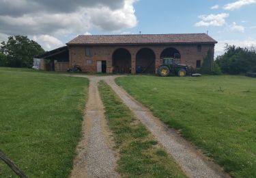Percorso Marcia Noueilles - Nouilles JP  - Photo