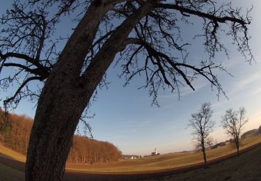 Randonnée A pied Eggelsberg - Panoramaweg - Photo