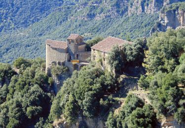 Percorso A piedi Santa Pau - Ruta per les Terres dels Barons de Santa Pau - Photo