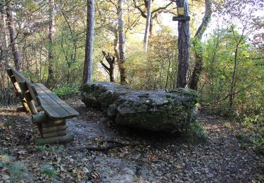 Tocht Te voet Gemeinde Bad Vöslau - Bad Vöslau - Vöslauer Kalkgraben - Photo