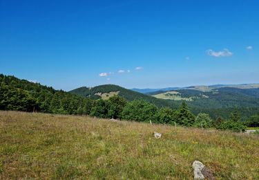 Excursión Senderismo Murbach - La 