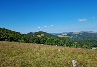 Tour Wandern Murbach - La 